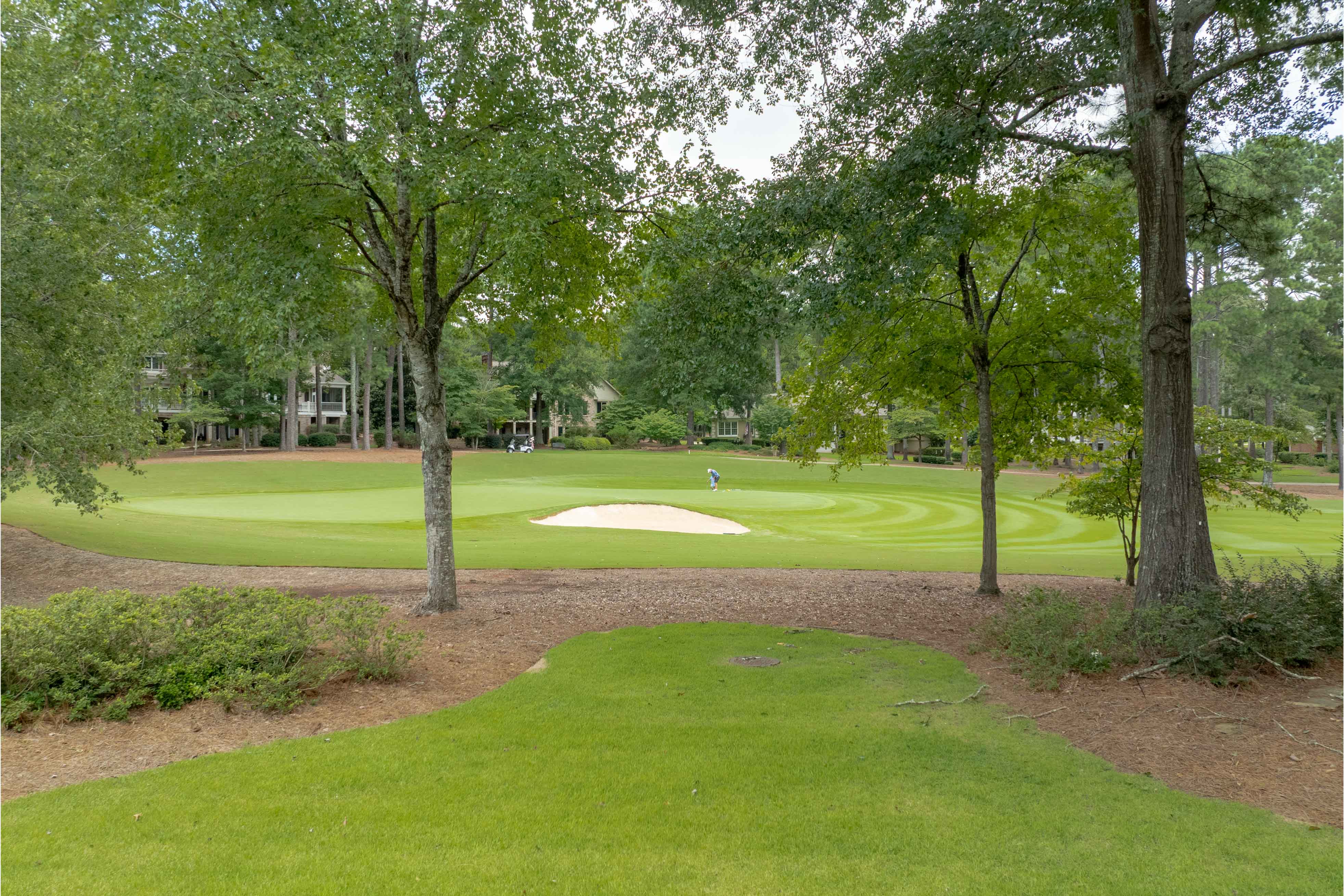 124 Oakton North image 21